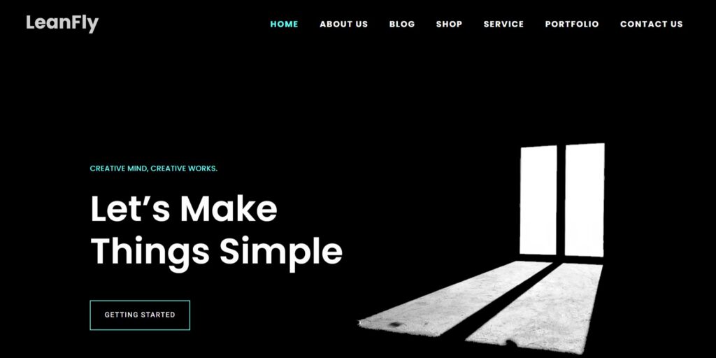 LeanFly - Business Consultancy